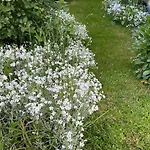 Σπίτι διακοπών Auszeit By Interhome Trittenheim