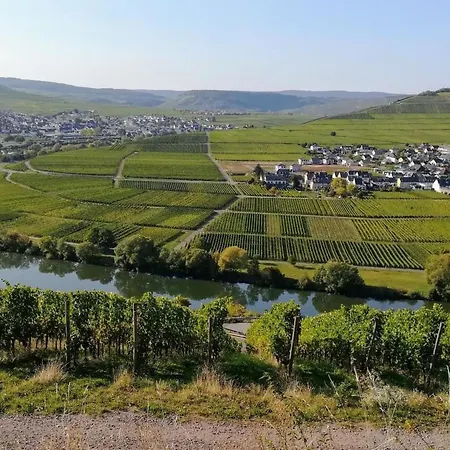 Auszeit By Interhome Trittenheim