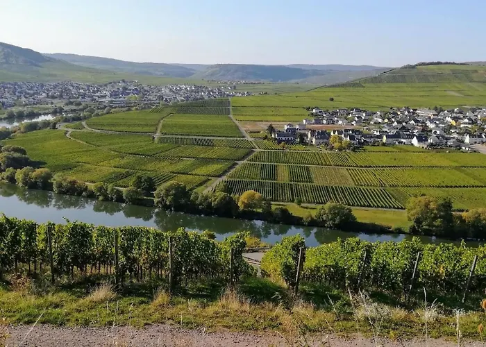 Auszeit By Interhome Trittenheim