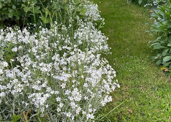 Casa de Férias Auszeit By Interhome Trittenheim