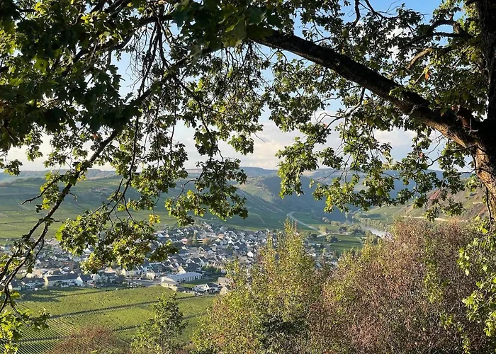 Auszeit By Interhome * Trittenheim